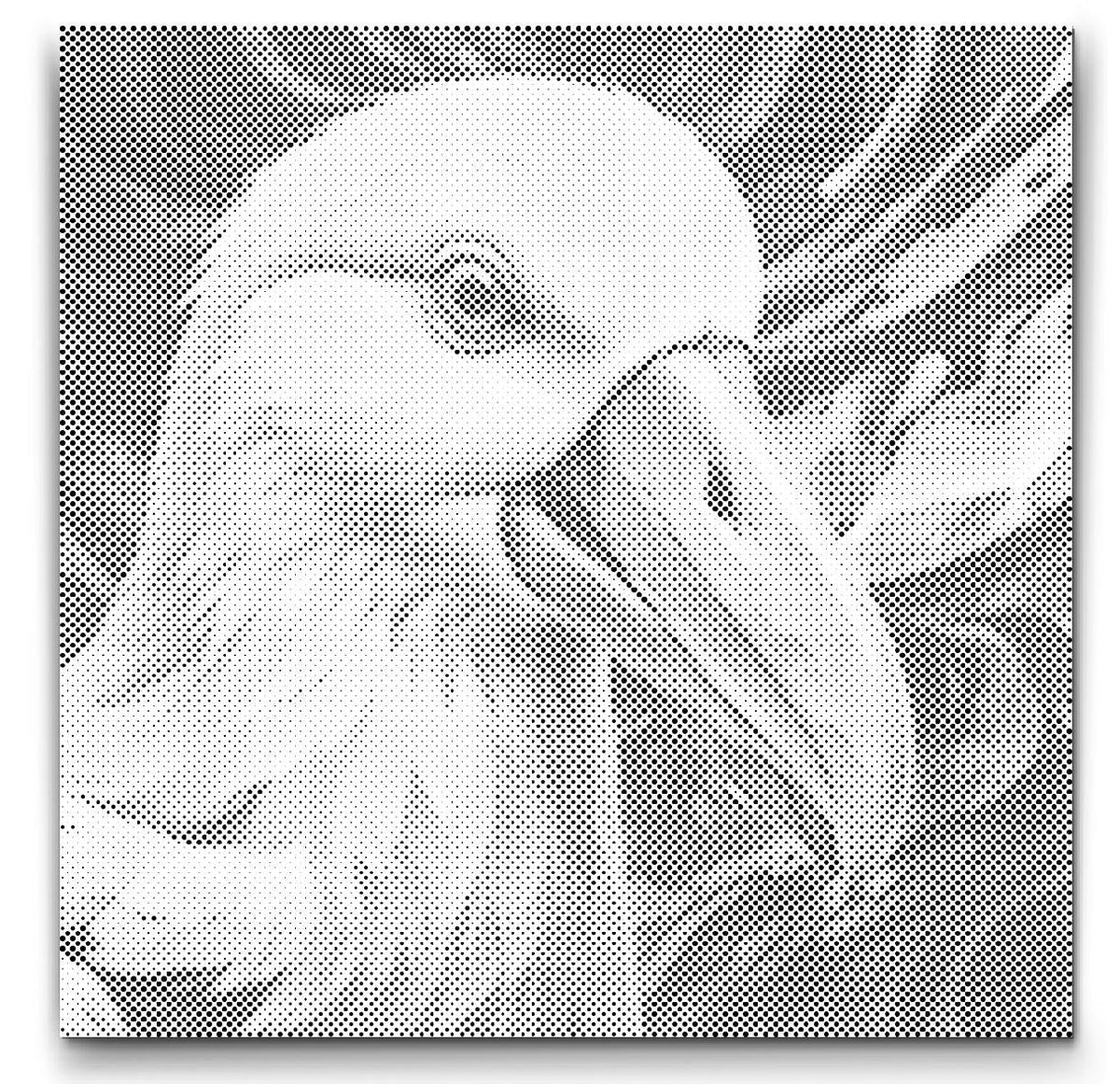 Albatross | Dot Painting Kit som färdigt prickmålning motiv
