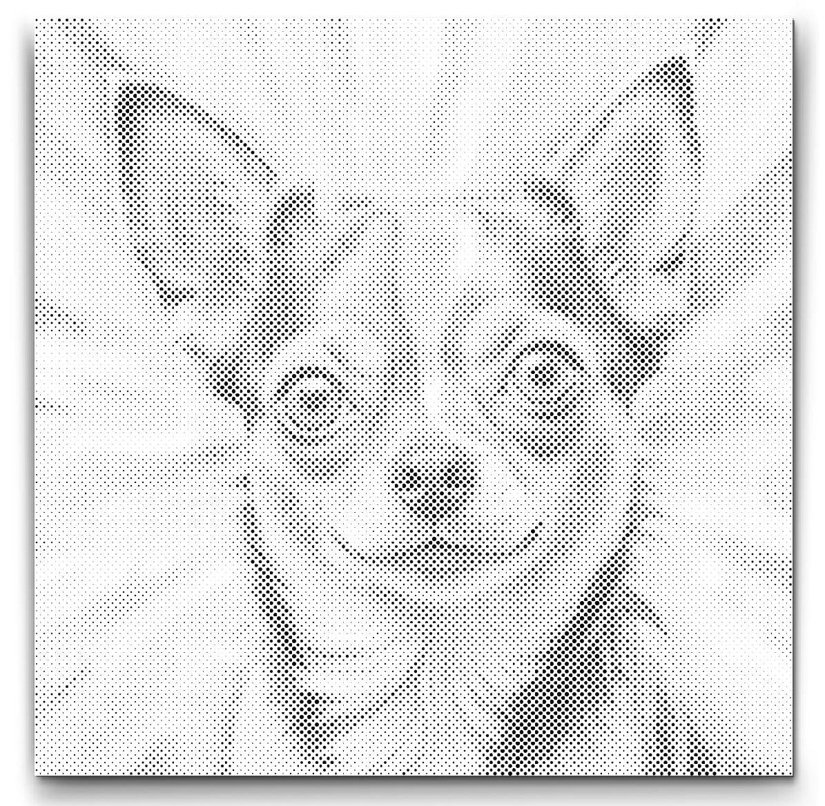 Chihuahua | Dot Painting Kit som färdigt prickmålning motiv