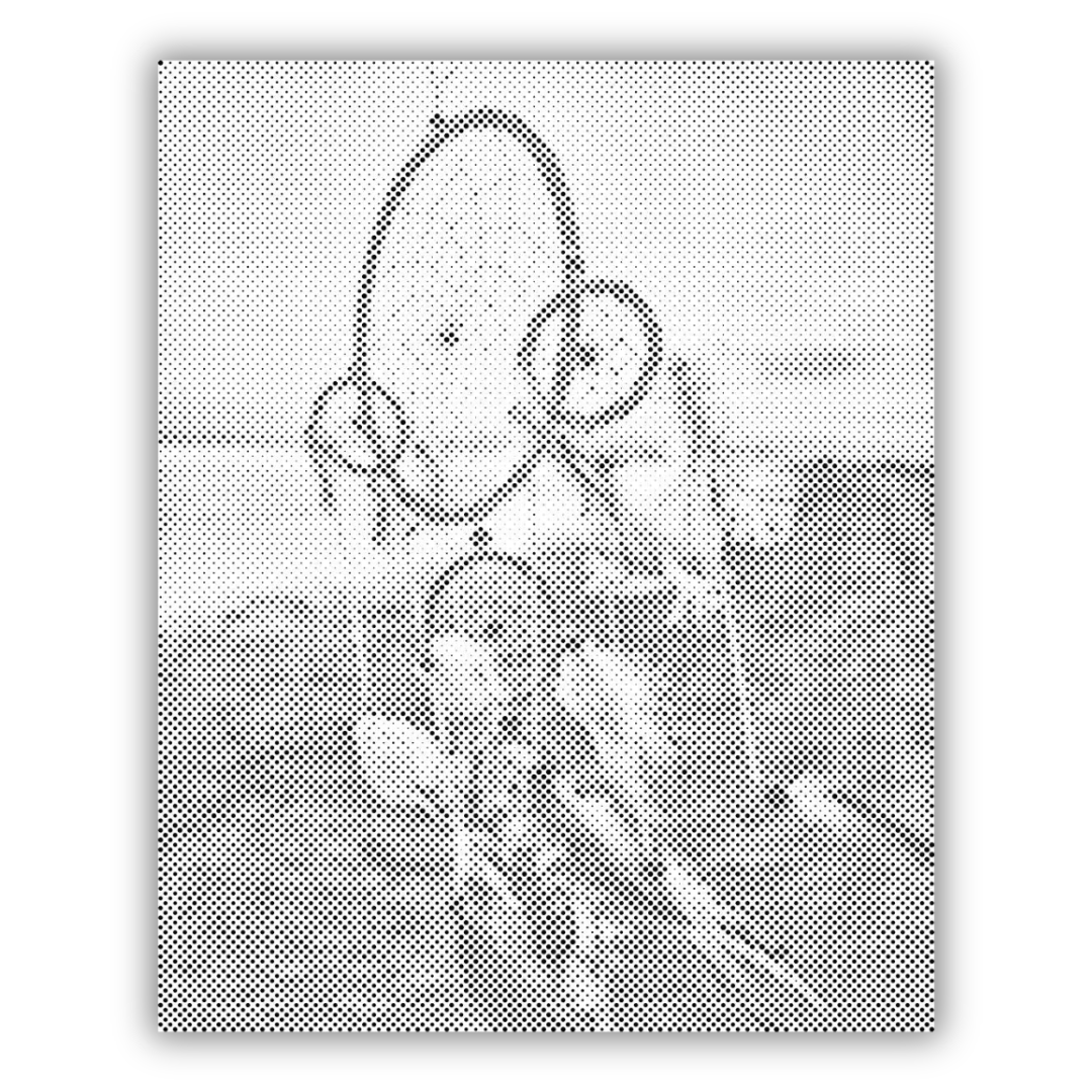 Dreamcatcher in the Wind | Dot Painting Kit som färdigt prickmålning motiv